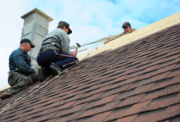 Best Gutter Installation and Roofing  in Wintersville, OH